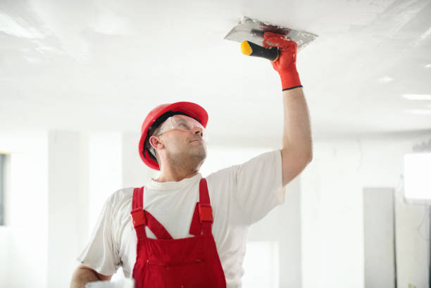 Trusted Roseto, PA Dry wall and painting Experts